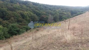 teren-de-vanzare-1153-mp-alba-micesti-partea-stanga-1